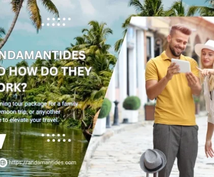 What Are Andamantides Services And How Do They Work?